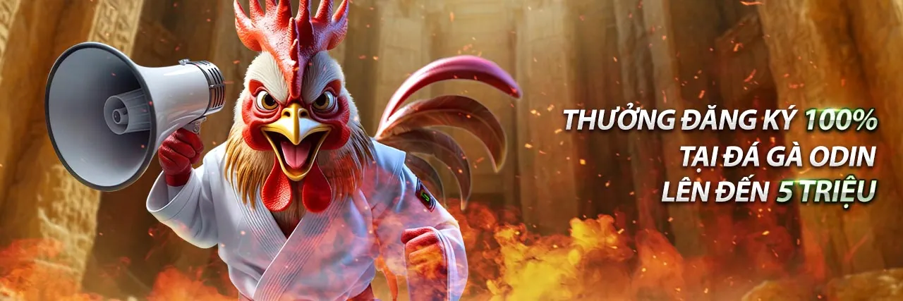 Hình ảnh quảng bá blog hello88 fangjian 2026